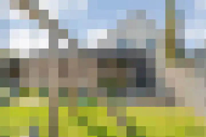 Brem 2 Coevorden thumbnail 35