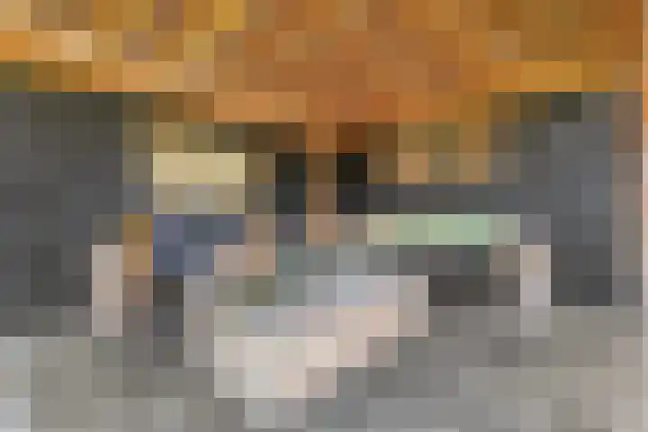 Brem 2 Coevorden thumbnail 36