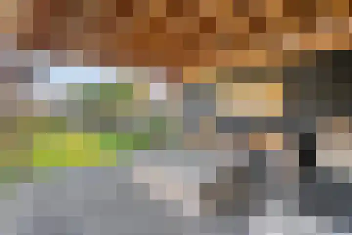 Brem 2 Coevorden thumbnail 37