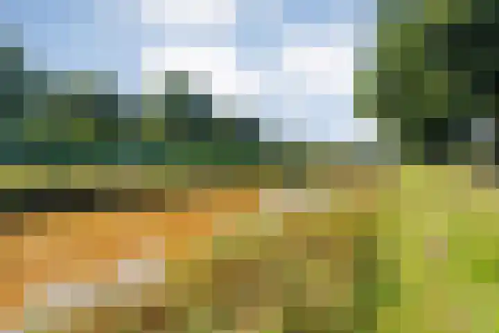 Brem 2 Coevorden thumbnail 39