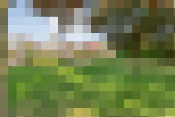 Brem 2 Coevorden thumbnail 40