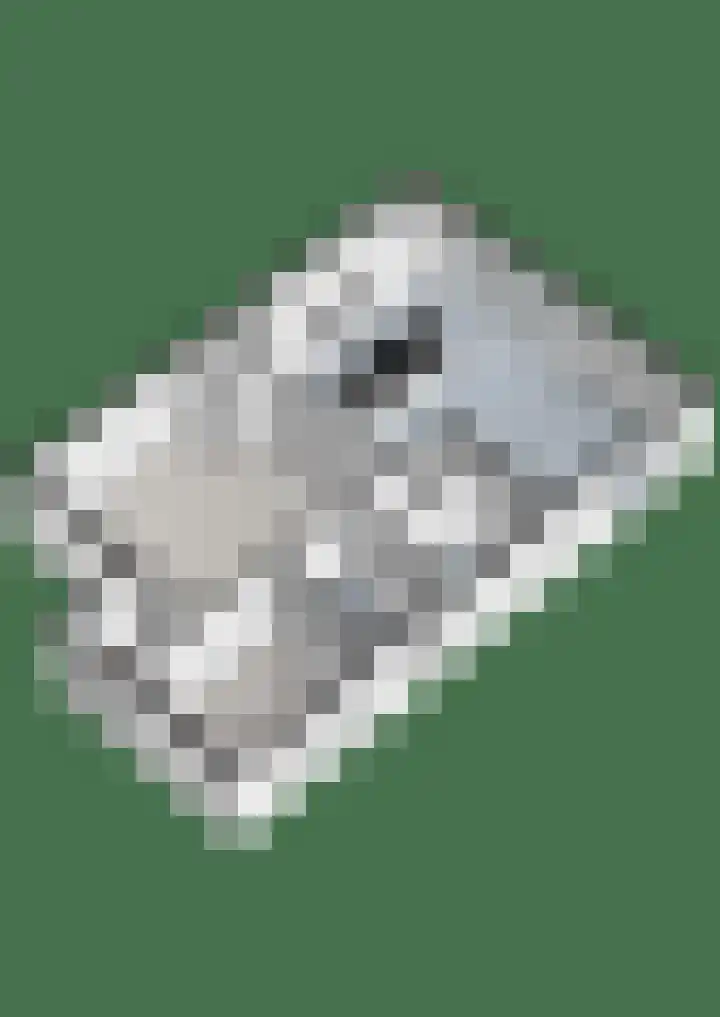 Brem 2 Coevorden thumbnail 42