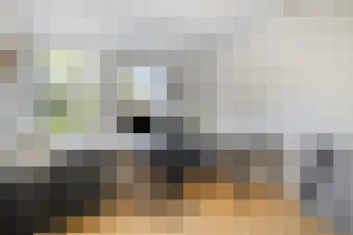 Brem 34 Deventer thumbnail 15