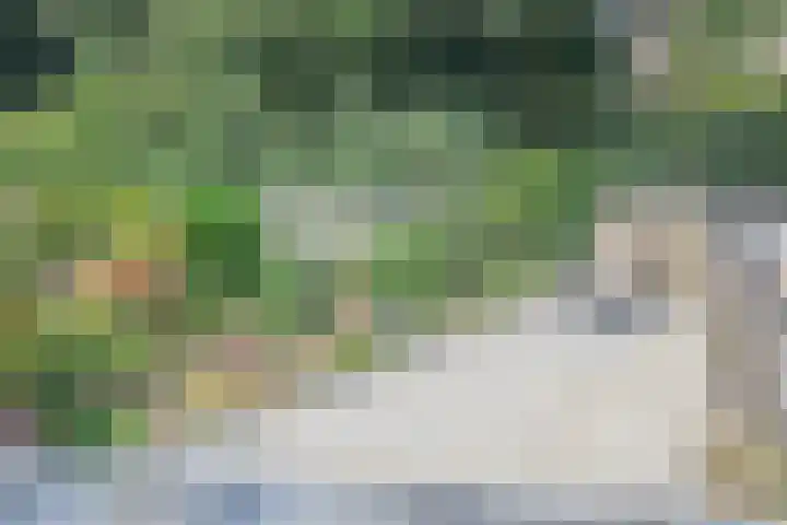 Brem 34 Deventer thumbnail 17