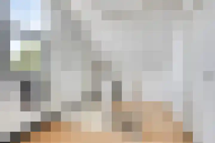 Brem 34 Deventer thumbnail 23