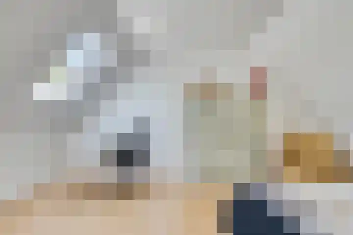 Brem 34 Deventer thumbnail 25