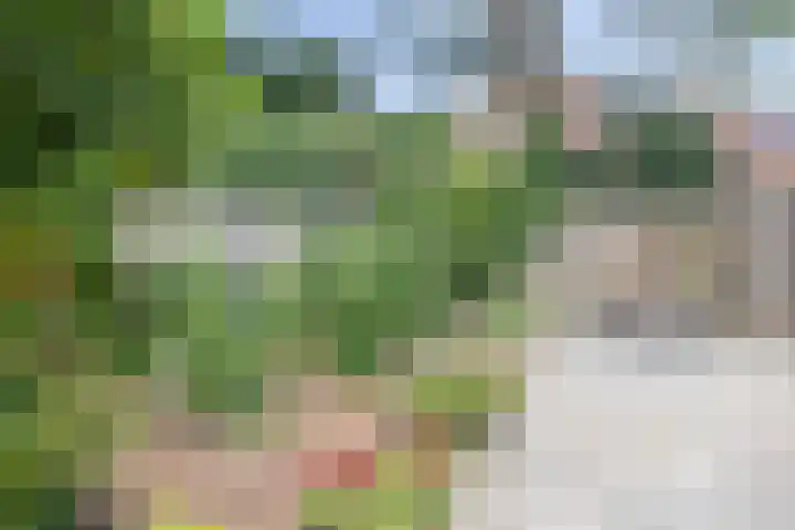 Brem 34 Deventer thumbnail 29