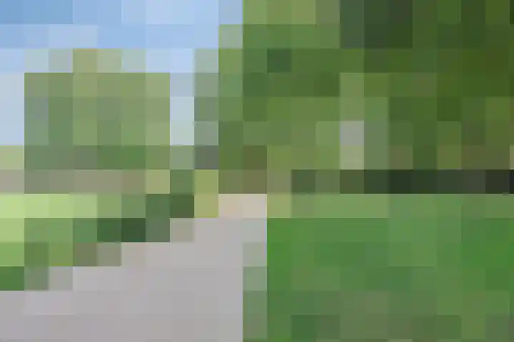 Brem 34 Deventer thumbnail 34