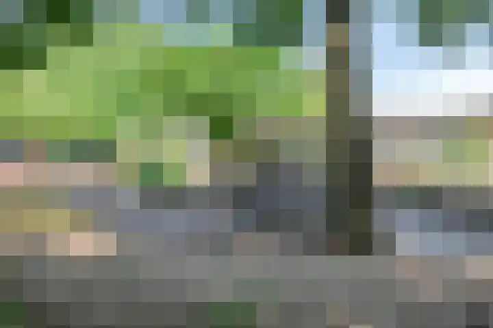 Brem 34 Deventer thumbnail 35