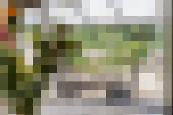 Brem 34 Deventer thumbnail 8
