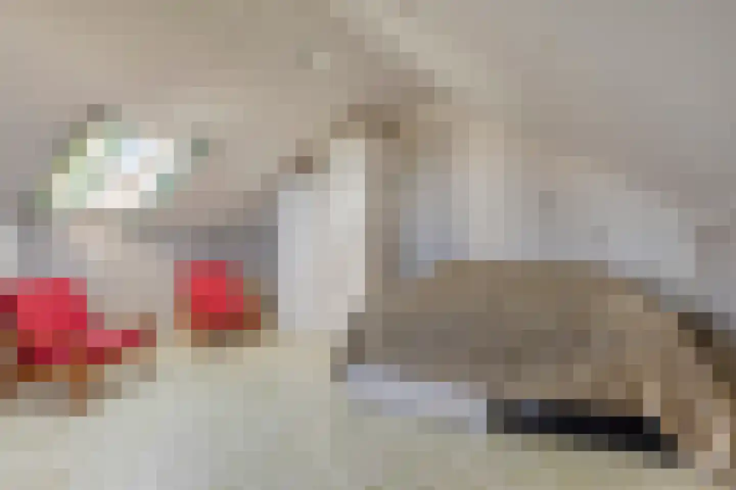 Brem 34 Oldenzaal thumbnail 24