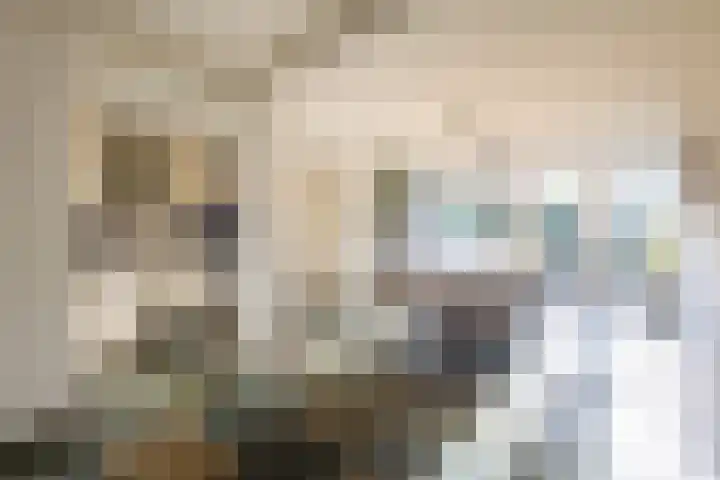 Brem 62 Oldenzaal thumbnail 13