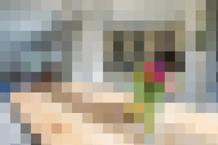 Brem 62 Oldenzaal thumbnail 17