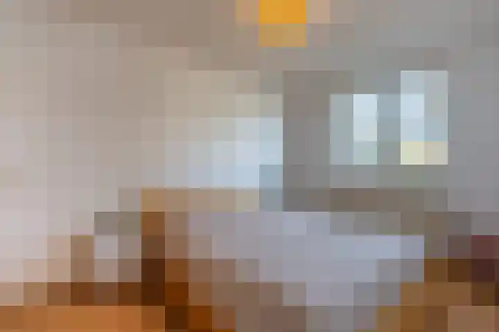 Brem 62 Oldenzaal thumbnail 23