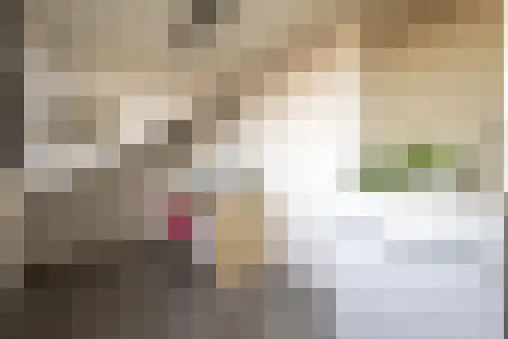 Brem 62 Oldenzaal thumbnail 35