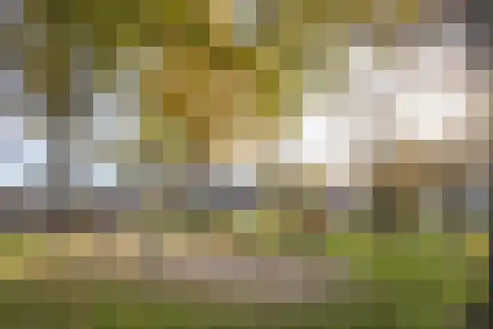 Brem 62 Oldenzaal thumbnail 44