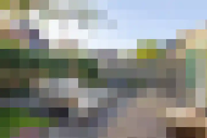 Brem 62 Oldenzaal thumbnail 5