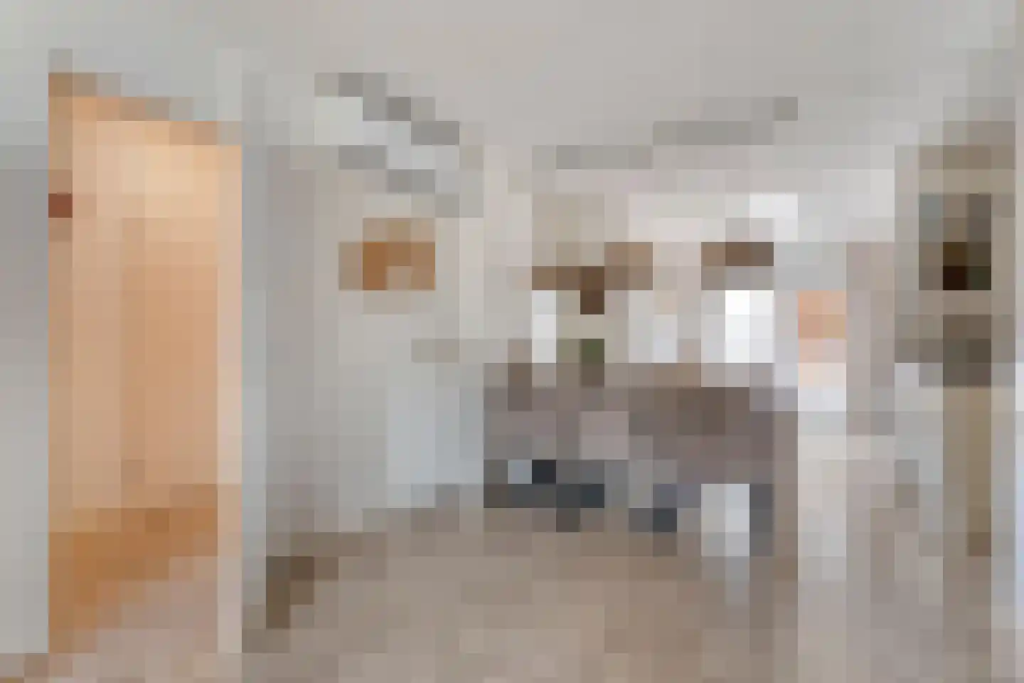 Brem 8 Coevorden thumbnail 11