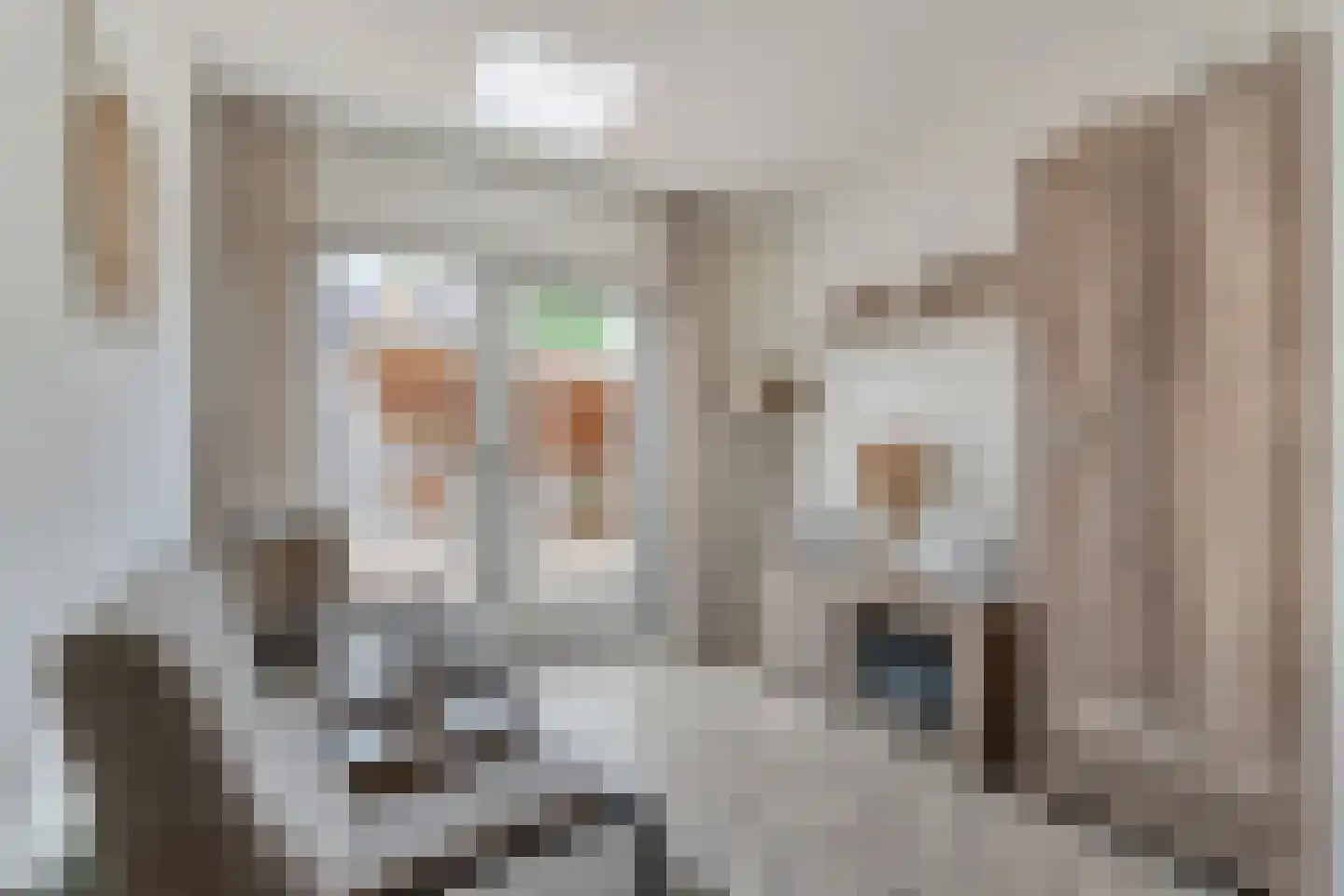 Brem 8 Coevorden thumbnail 14