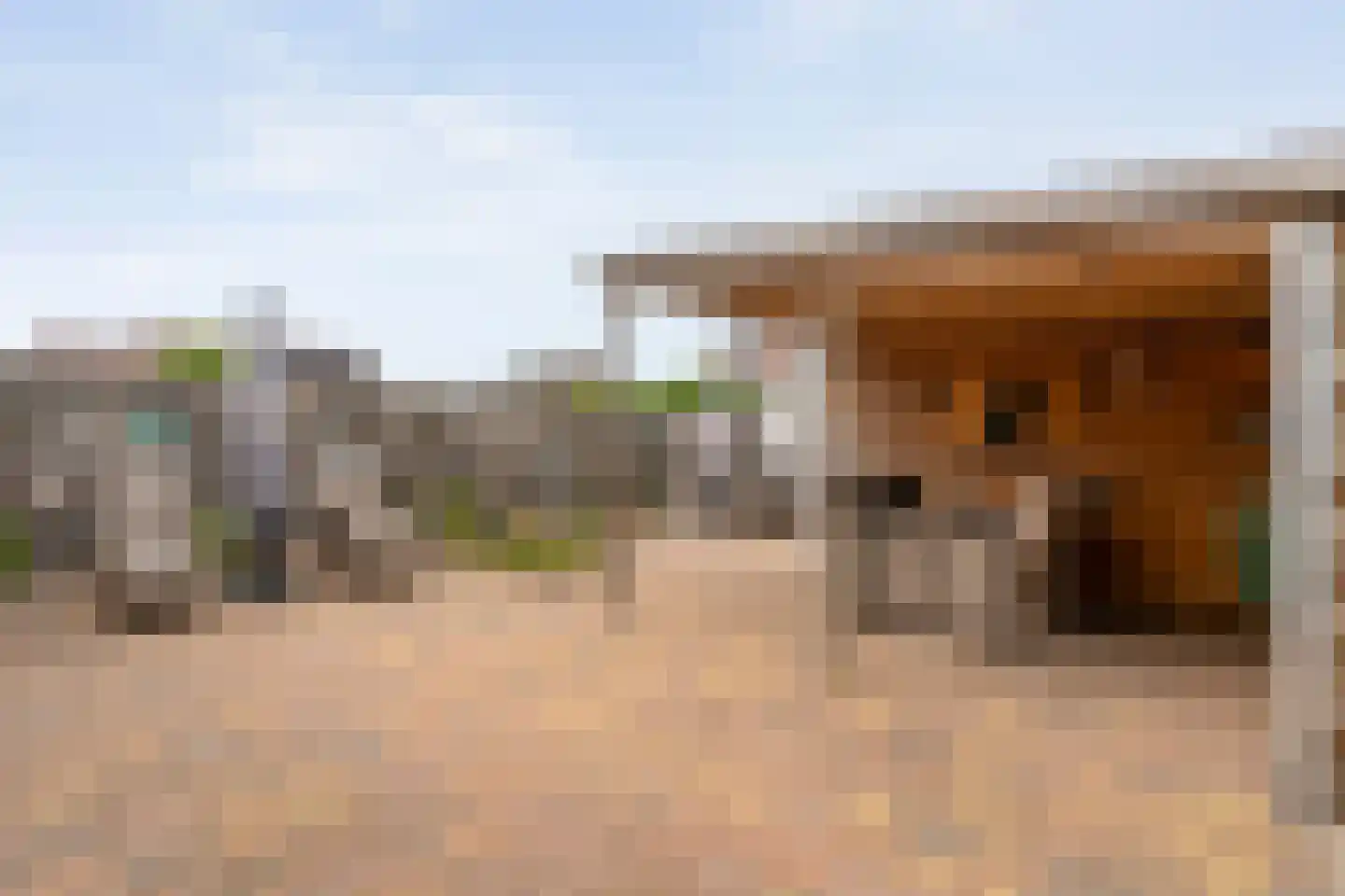Brem 8 Coevorden thumbnail 42