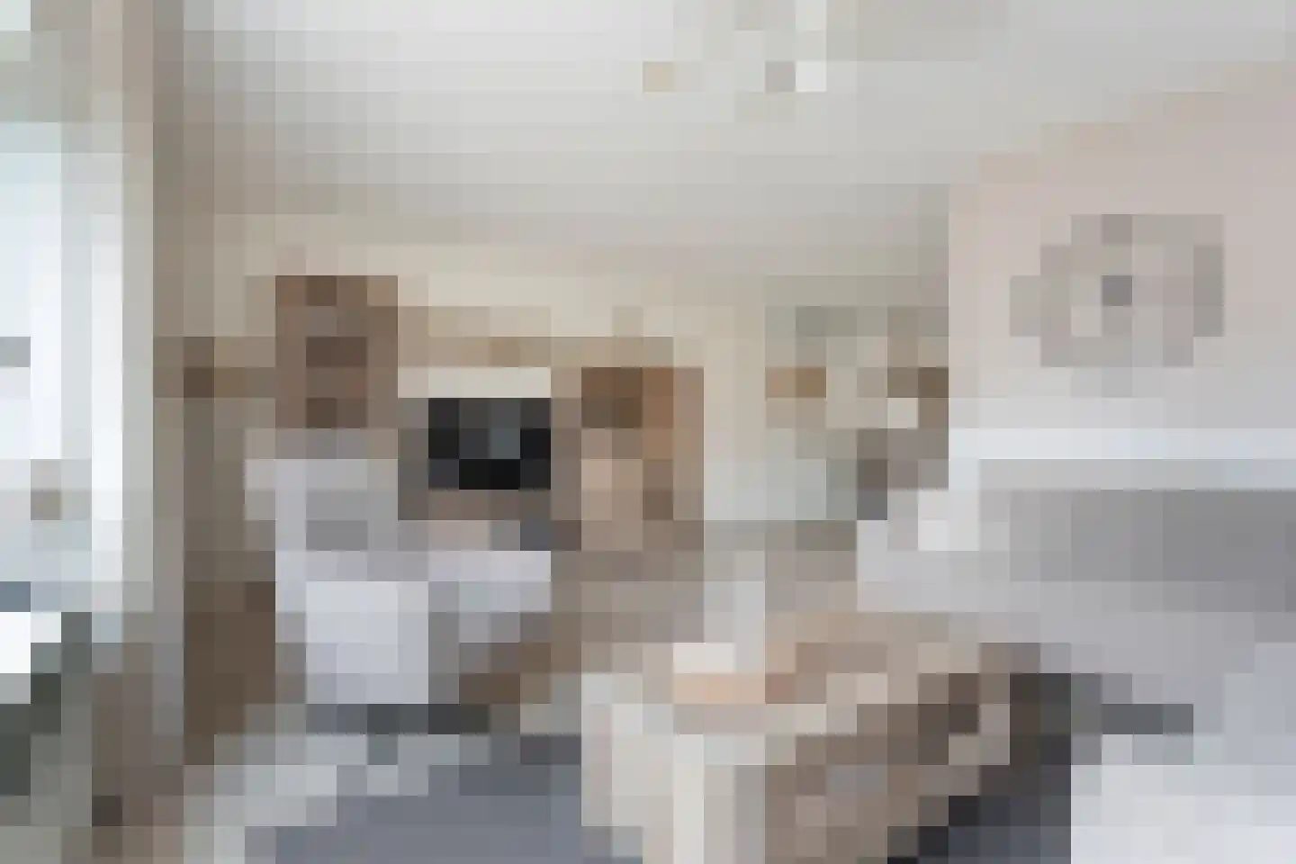 Brem 8 Coevorden thumbnail 9