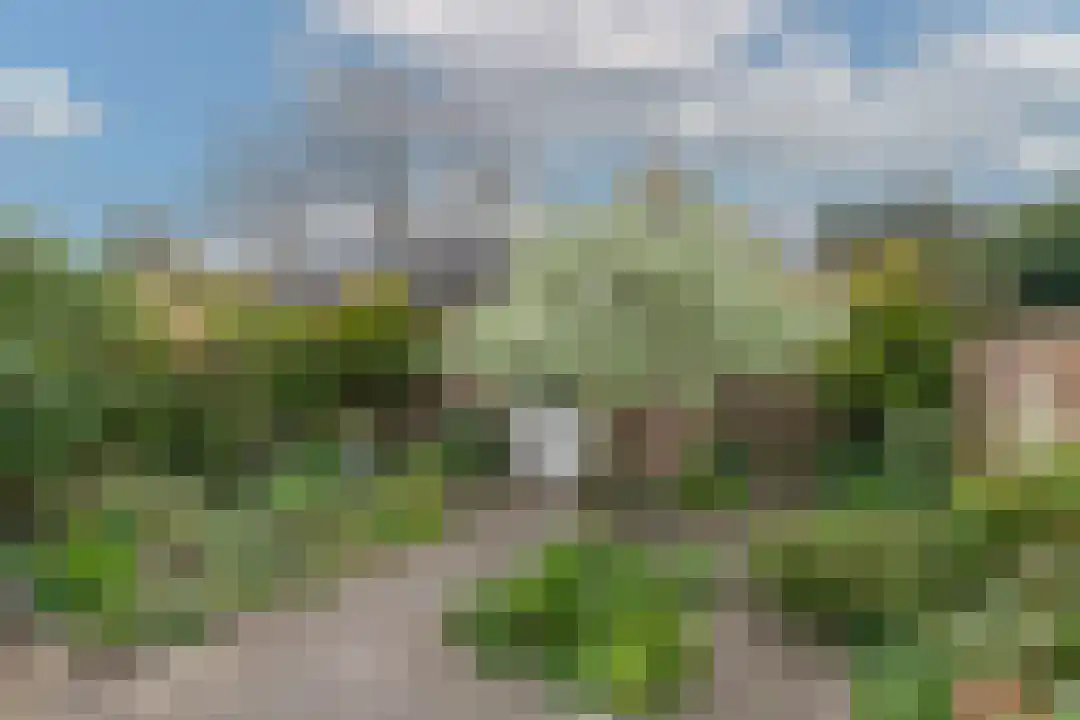 Bremakker 11 Groet thumbnail 16