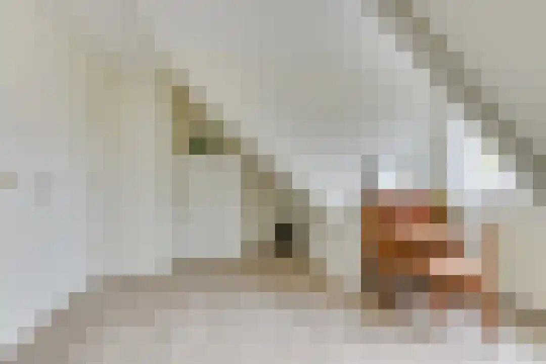 Bremakker 11 Groet thumbnail 30