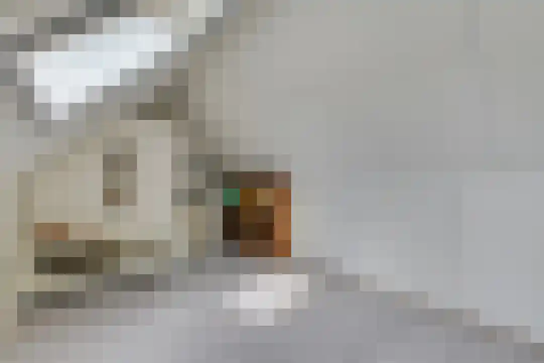 Bremakker 11 Groet thumbnail 35