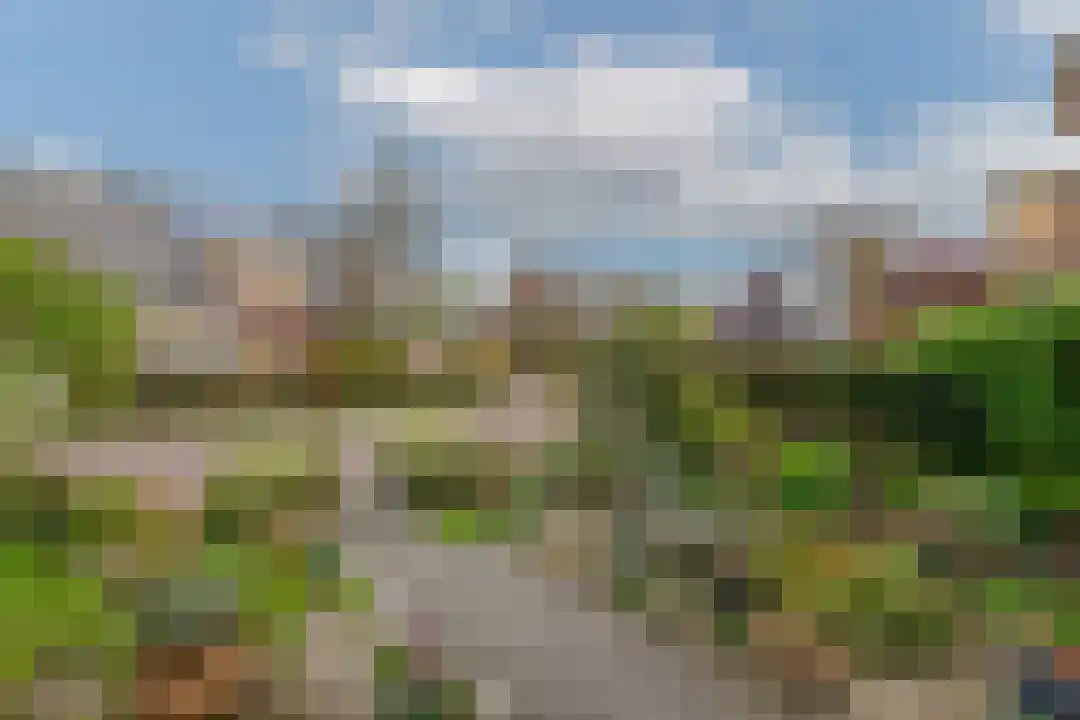Bremakker 11 Groet thumbnail 38