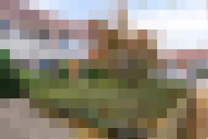 Brembeek 57 Veldhoven thumbnail 7