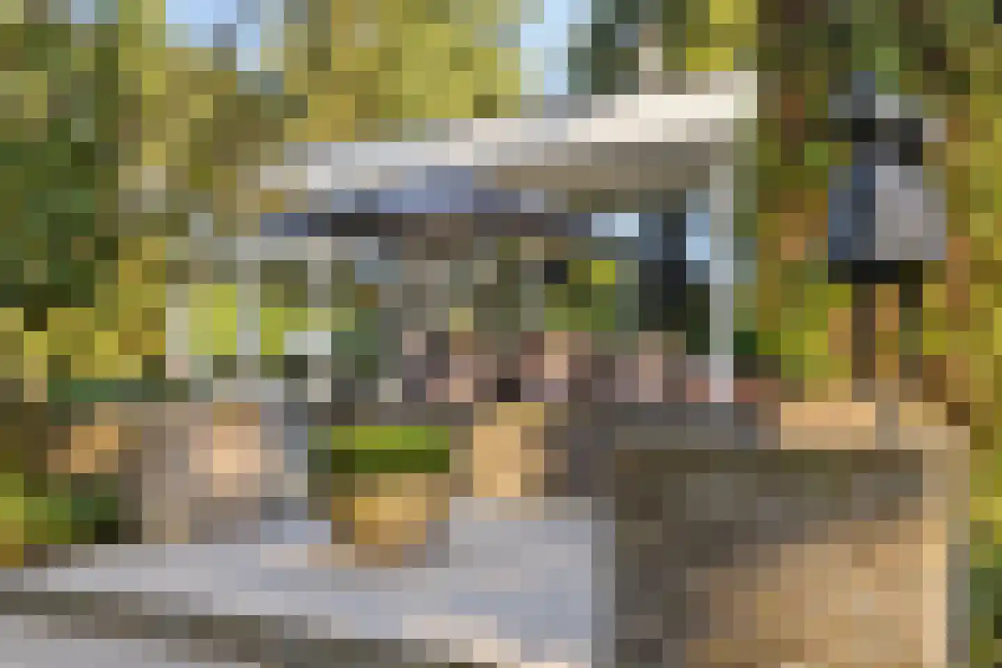 Bremdreef 4 Bergeijk thumbnail 10