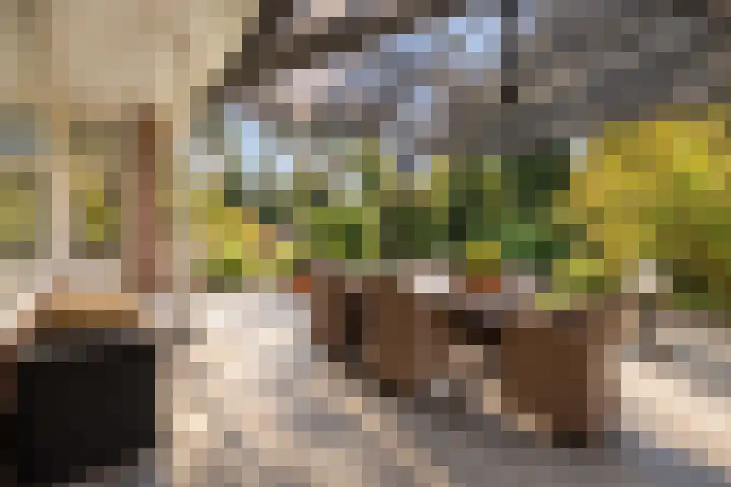Bremdreef 4 Bergeijk thumbnail 13