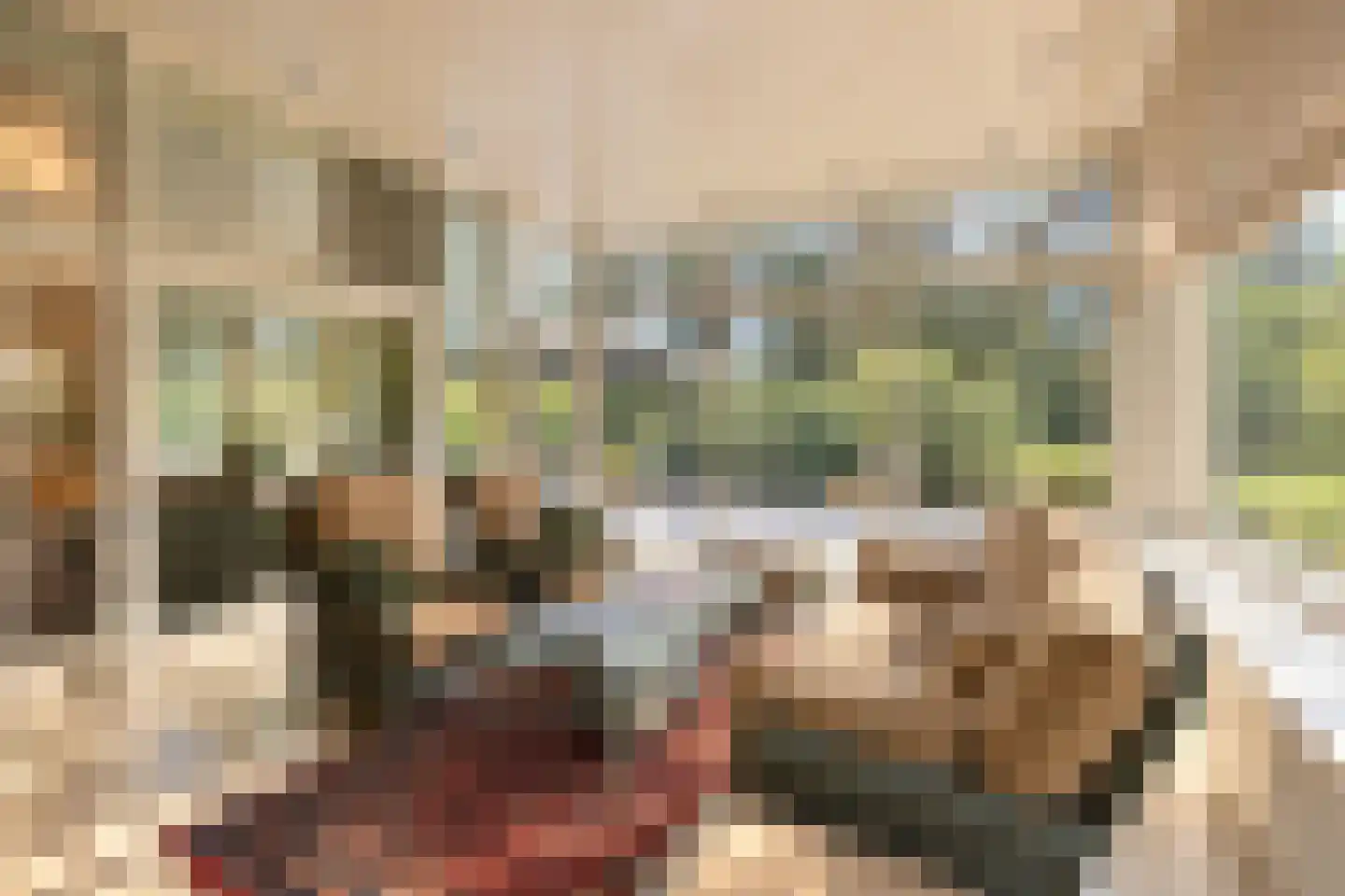 Bremdreef 4 Bergeijk thumbnail 14