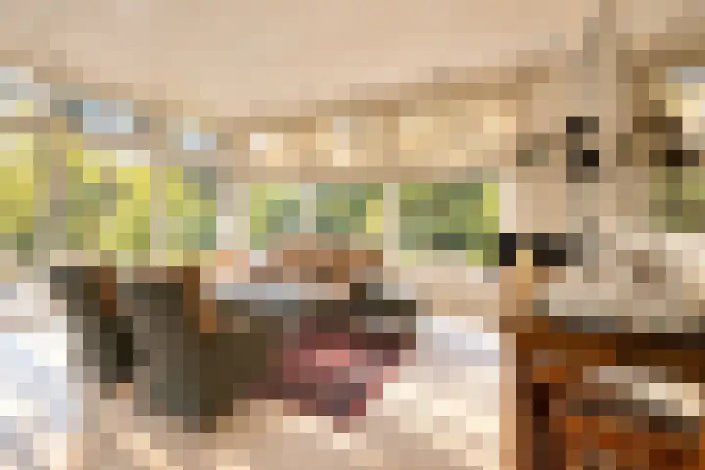 Bremdreef 4 Bergeijk thumbnail 15