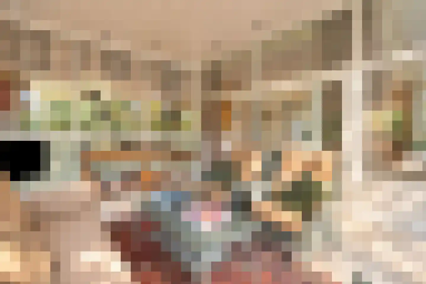 Bremdreef 4 Bergeijk thumbnail 16