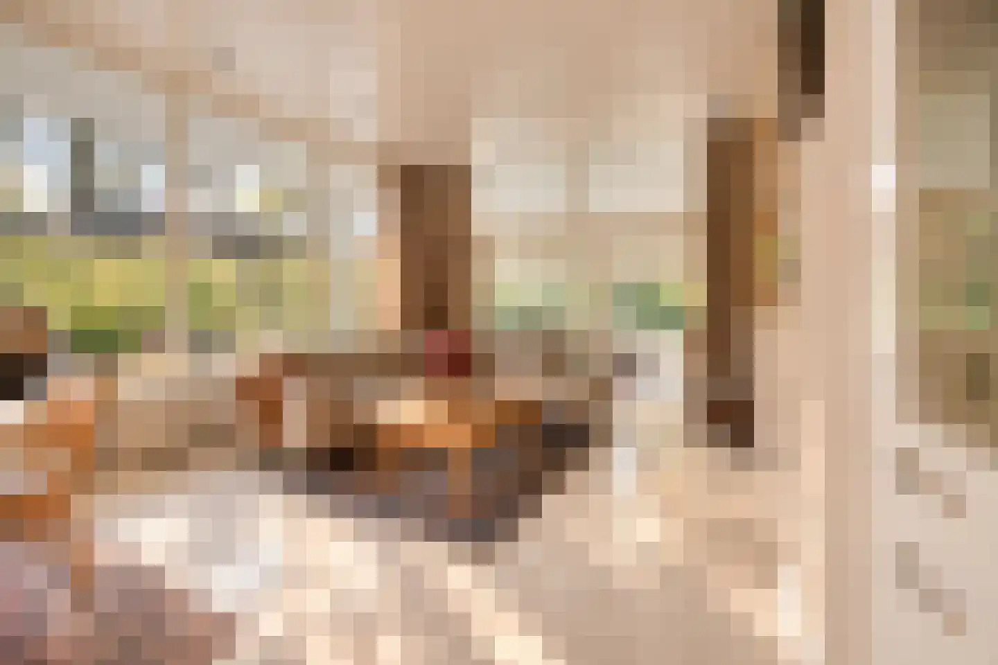 Bremdreef 4 Bergeijk thumbnail 17