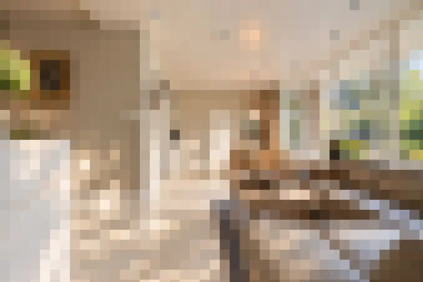 Bremdreef 4 Bergeijk thumbnail 18