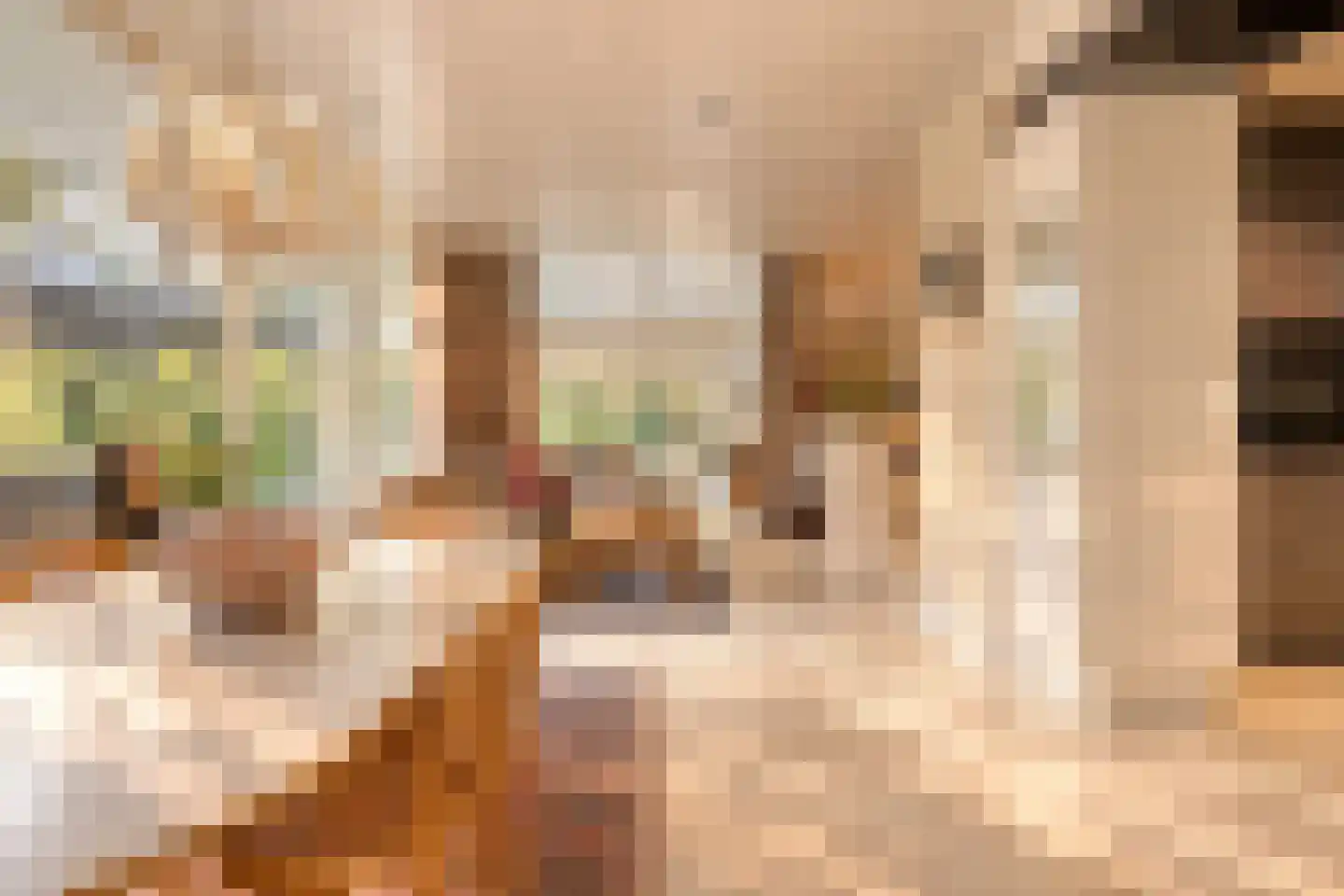 Bremdreef 4 Bergeijk thumbnail 19