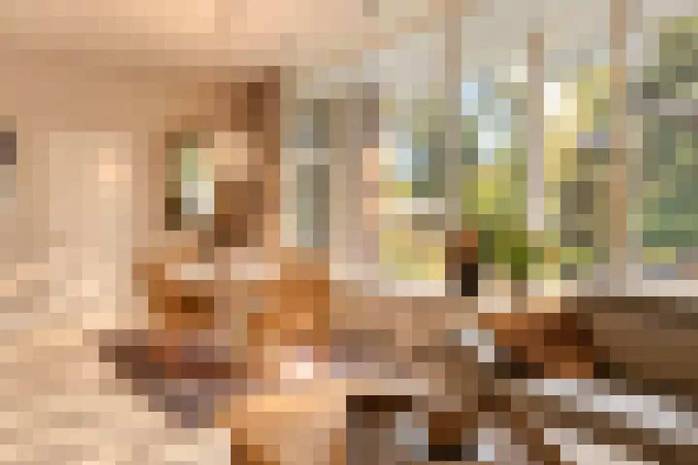 Bremdreef 4 Bergeijk thumbnail 20