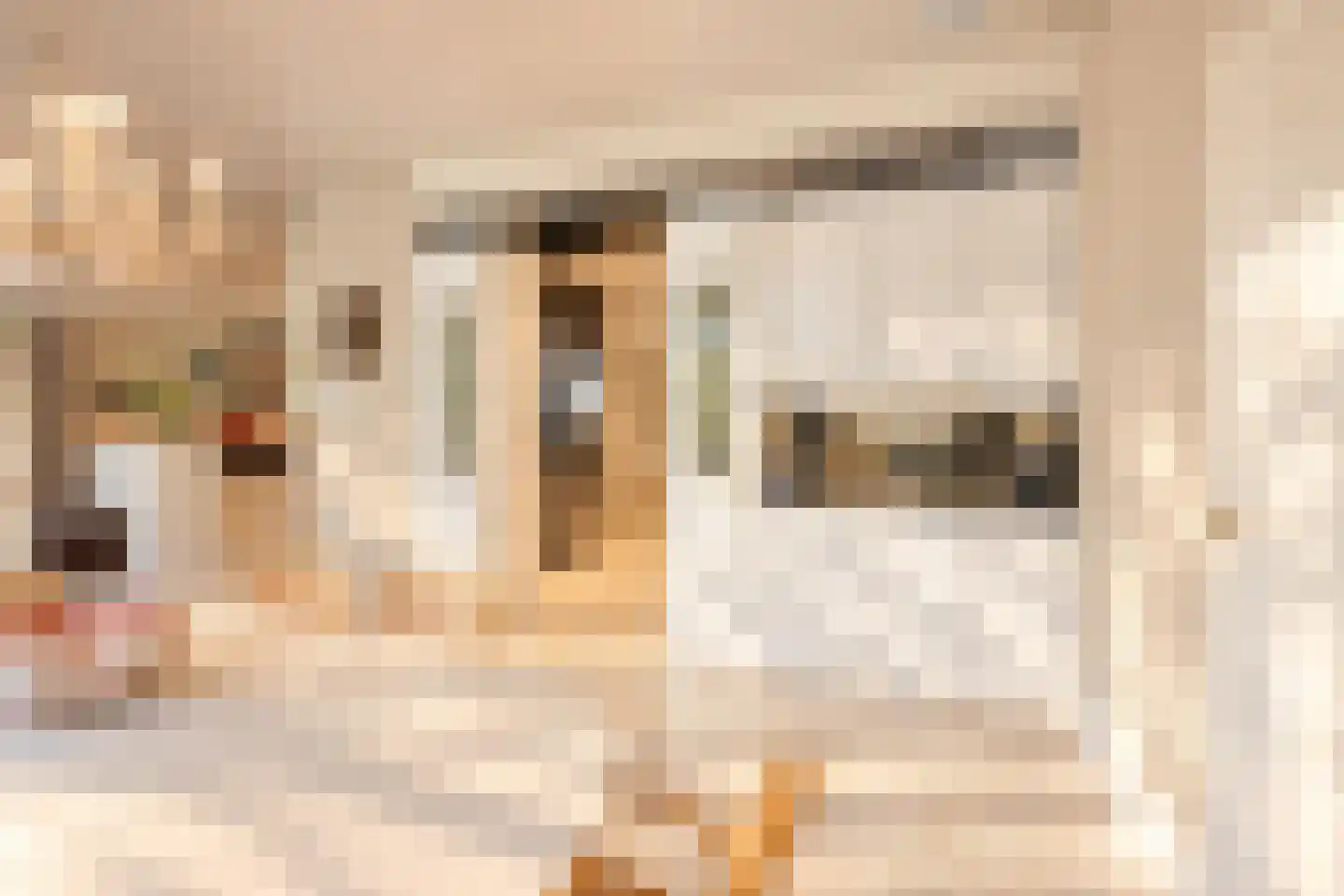 Bremdreef 4 Bergeijk thumbnail 21