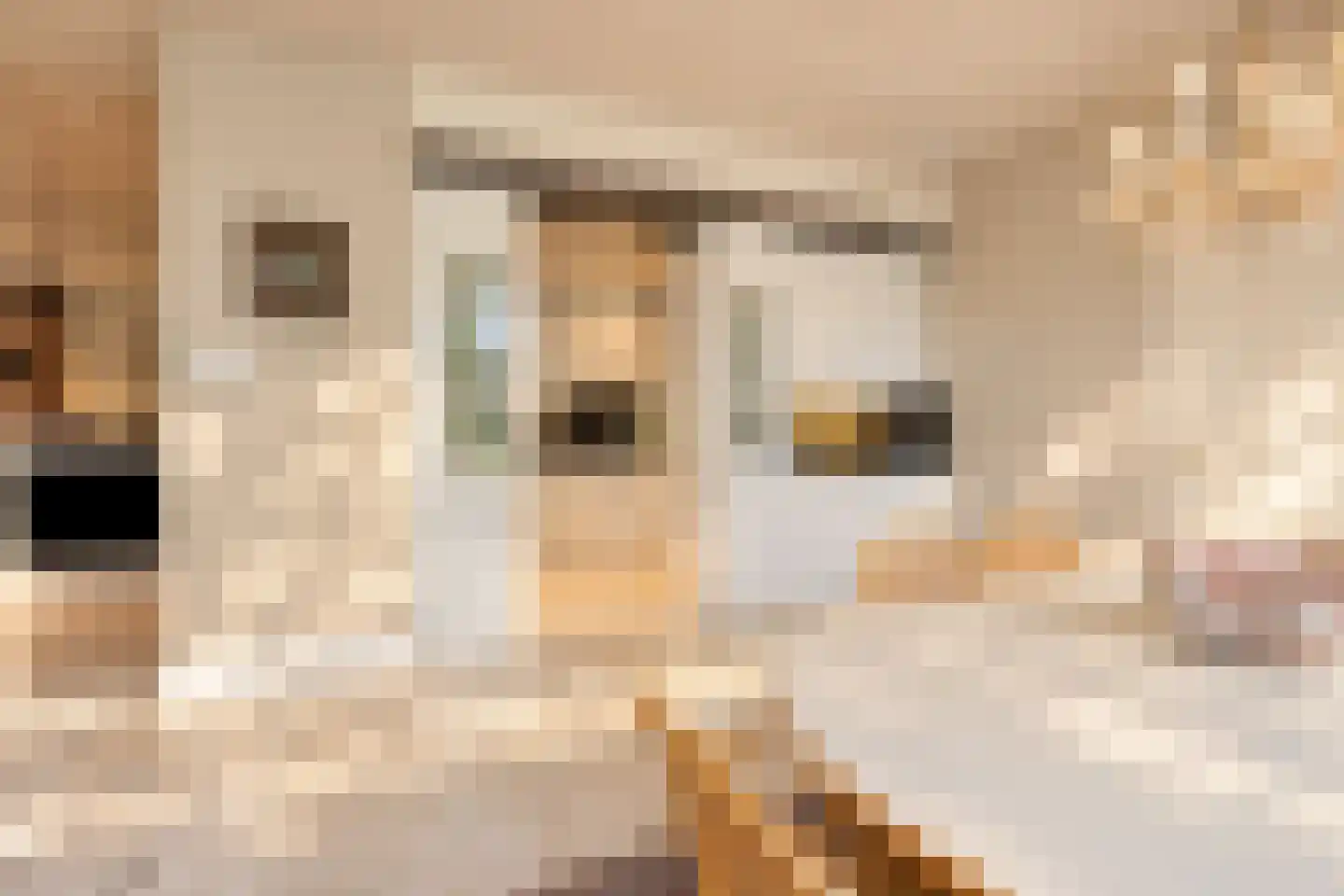 Bremdreef 4 Bergeijk thumbnail 22