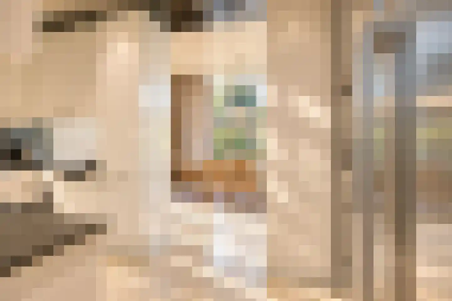 Bremdreef 4 Bergeijk thumbnail 23