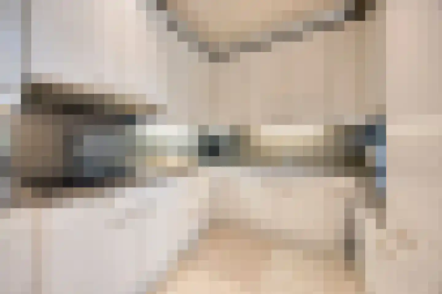 Bremdreef 4 Bergeijk thumbnail 24