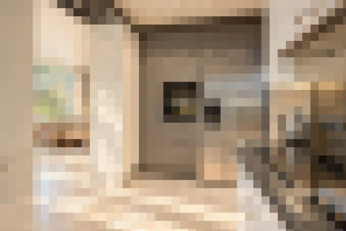 Bremdreef 4 Bergeijk thumbnail 25