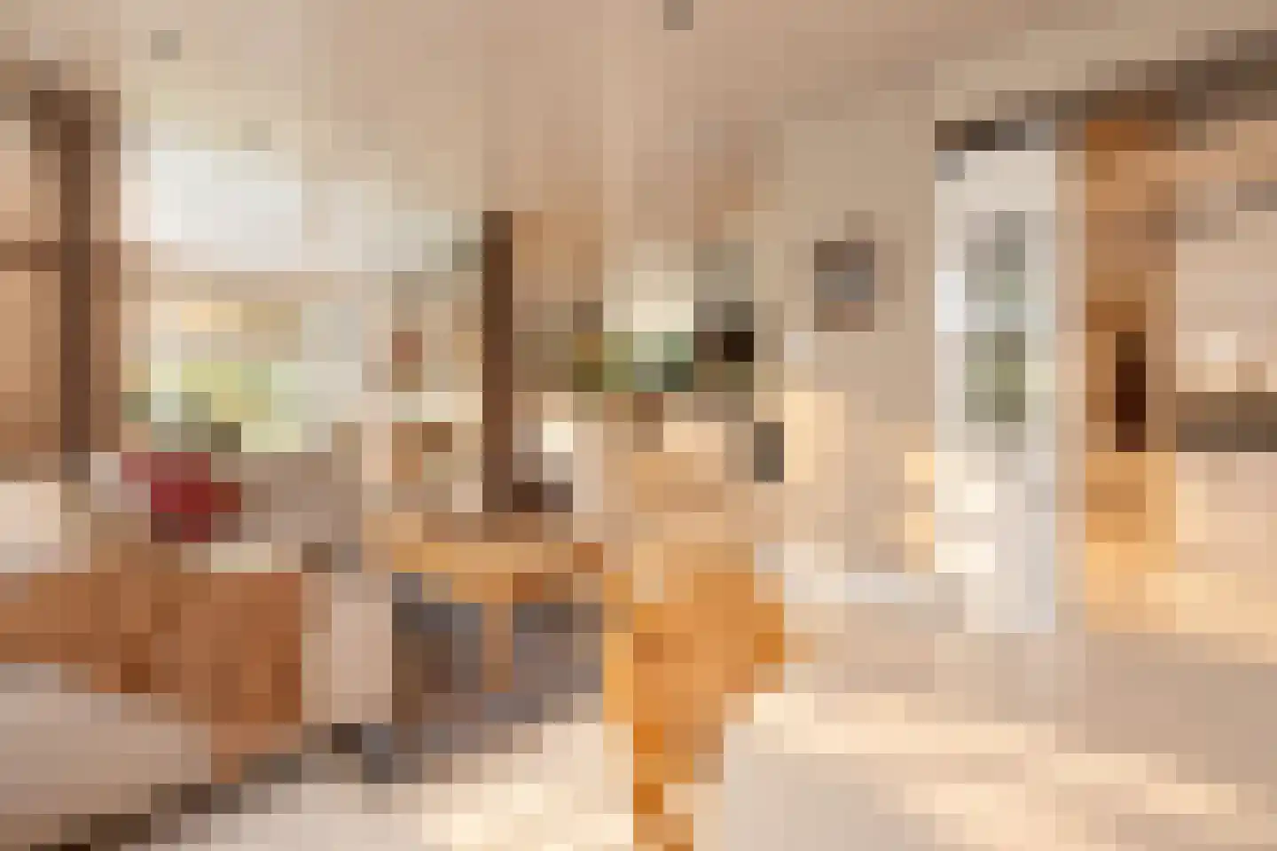 Bremdreef 4 Bergeijk thumbnail 26