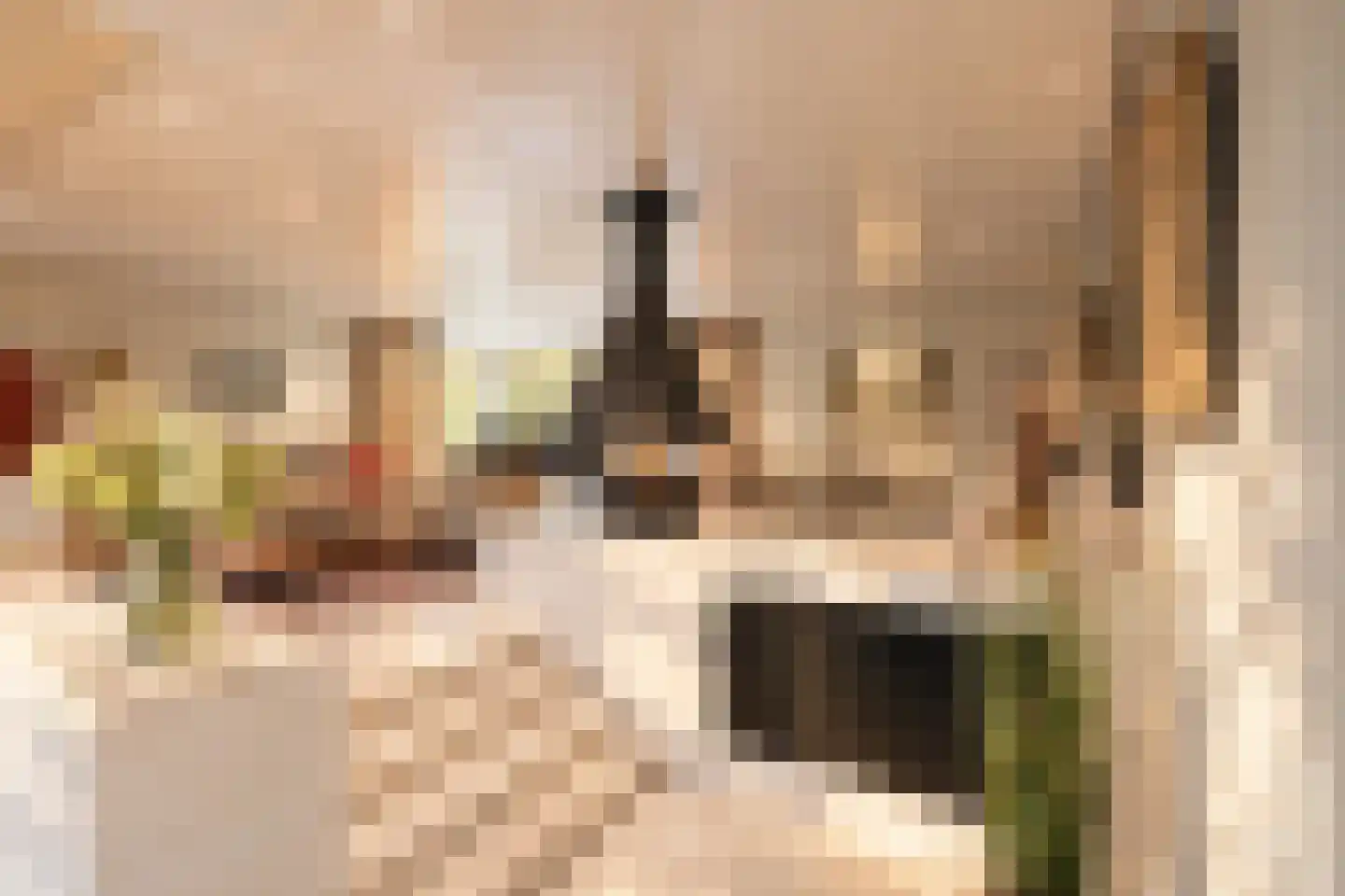 Bremdreef 4 Bergeijk thumbnail 27