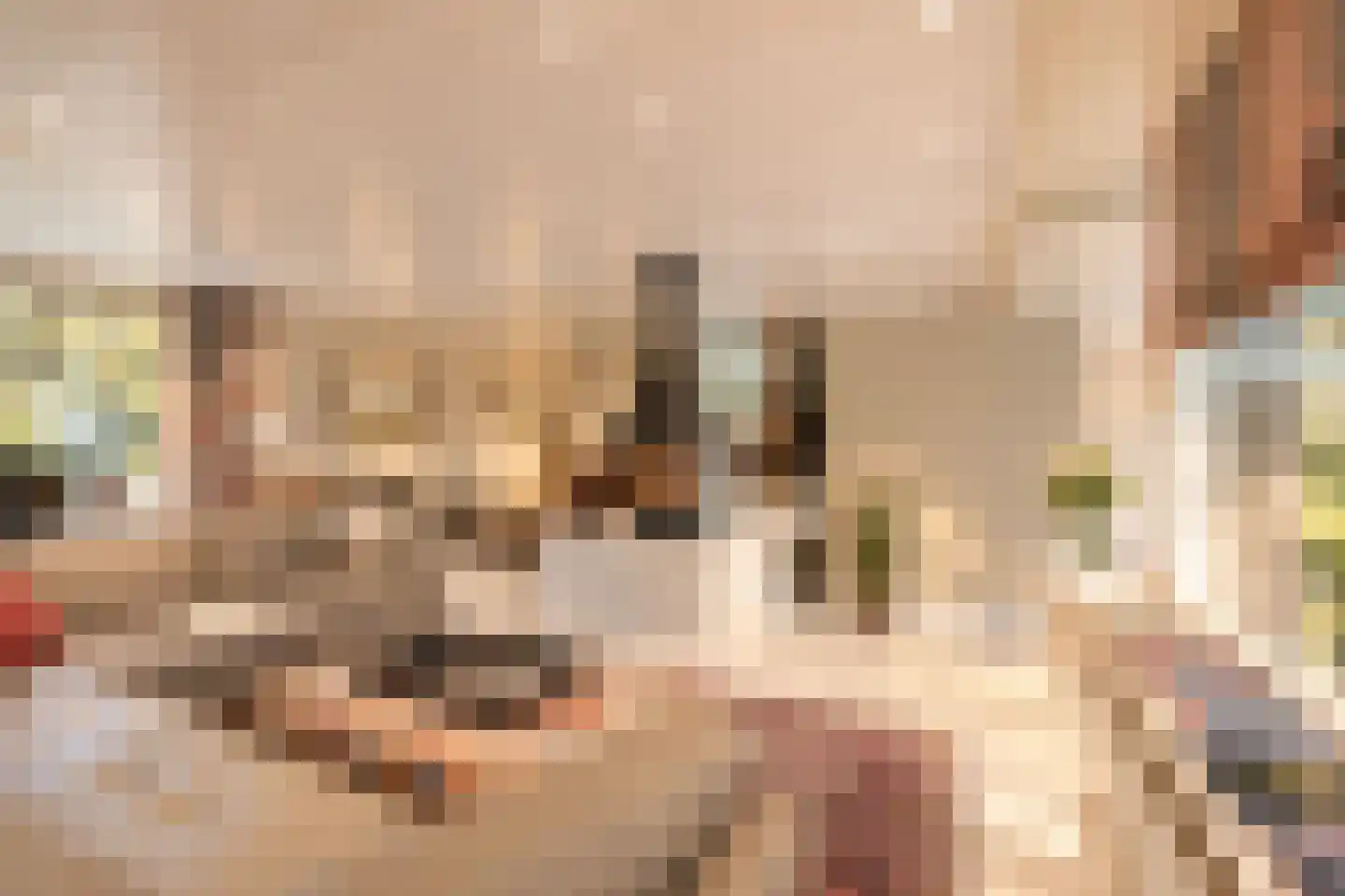 Bremdreef 4 Bergeijk thumbnail 28