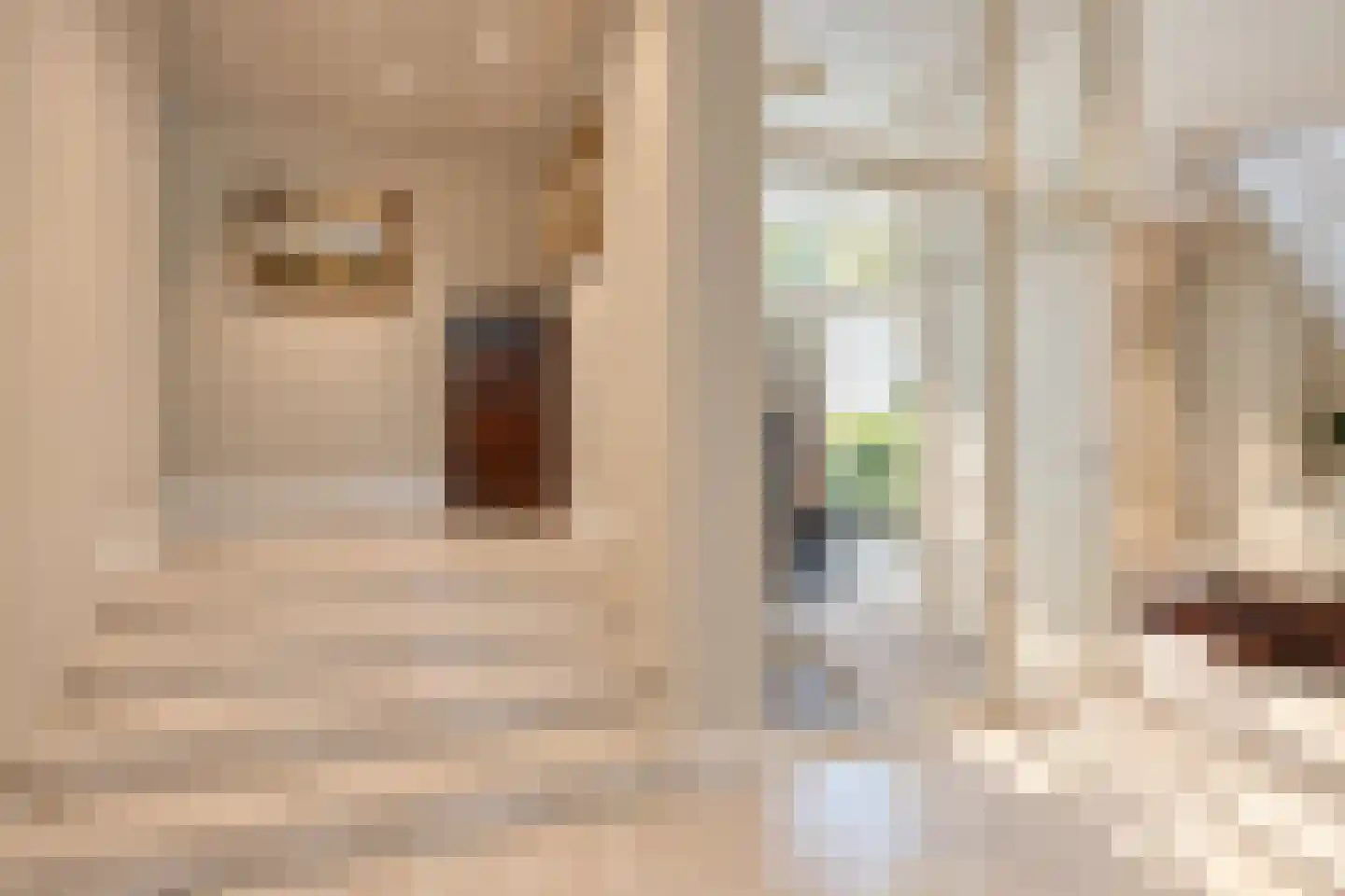 Bremdreef 4 Bergeijk thumbnail 31