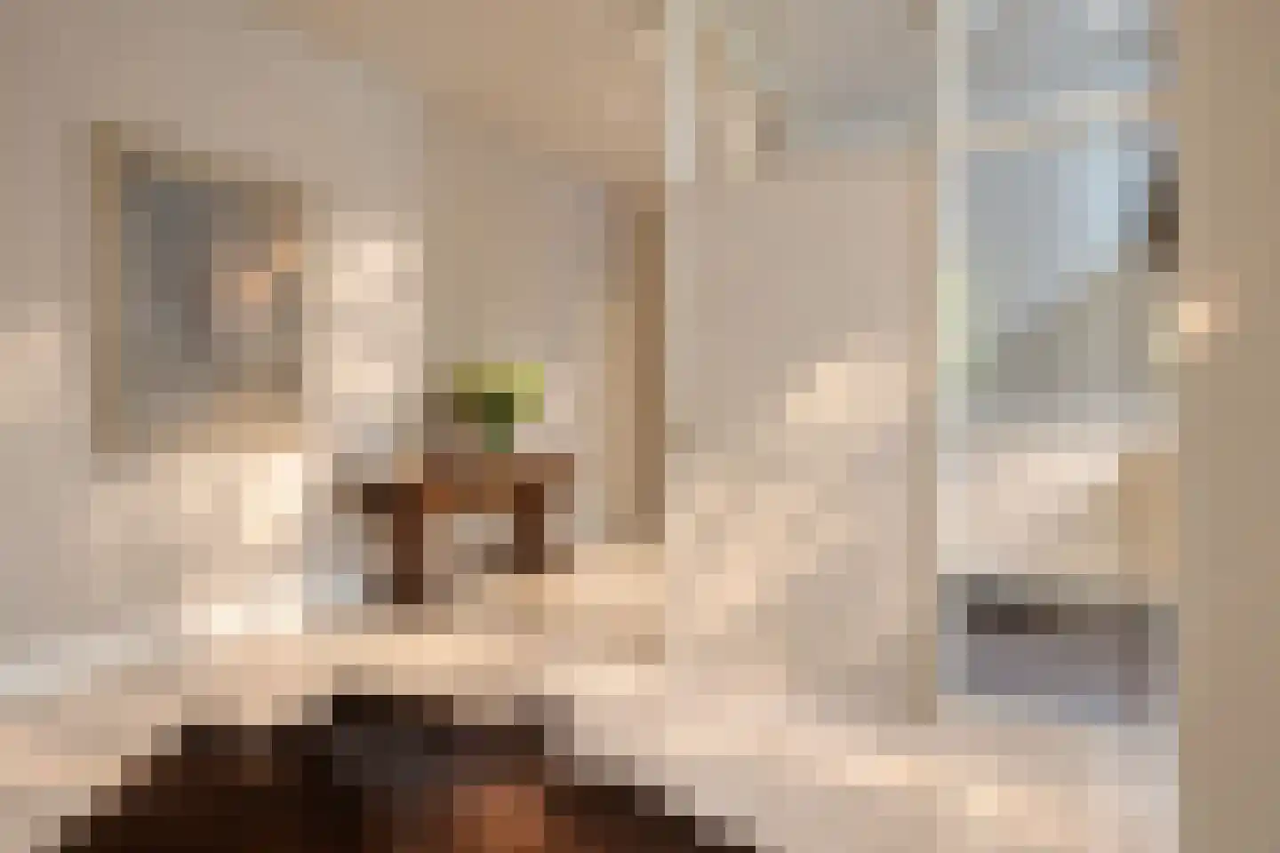 Bremdreef 4 Bergeijk thumbnail 33