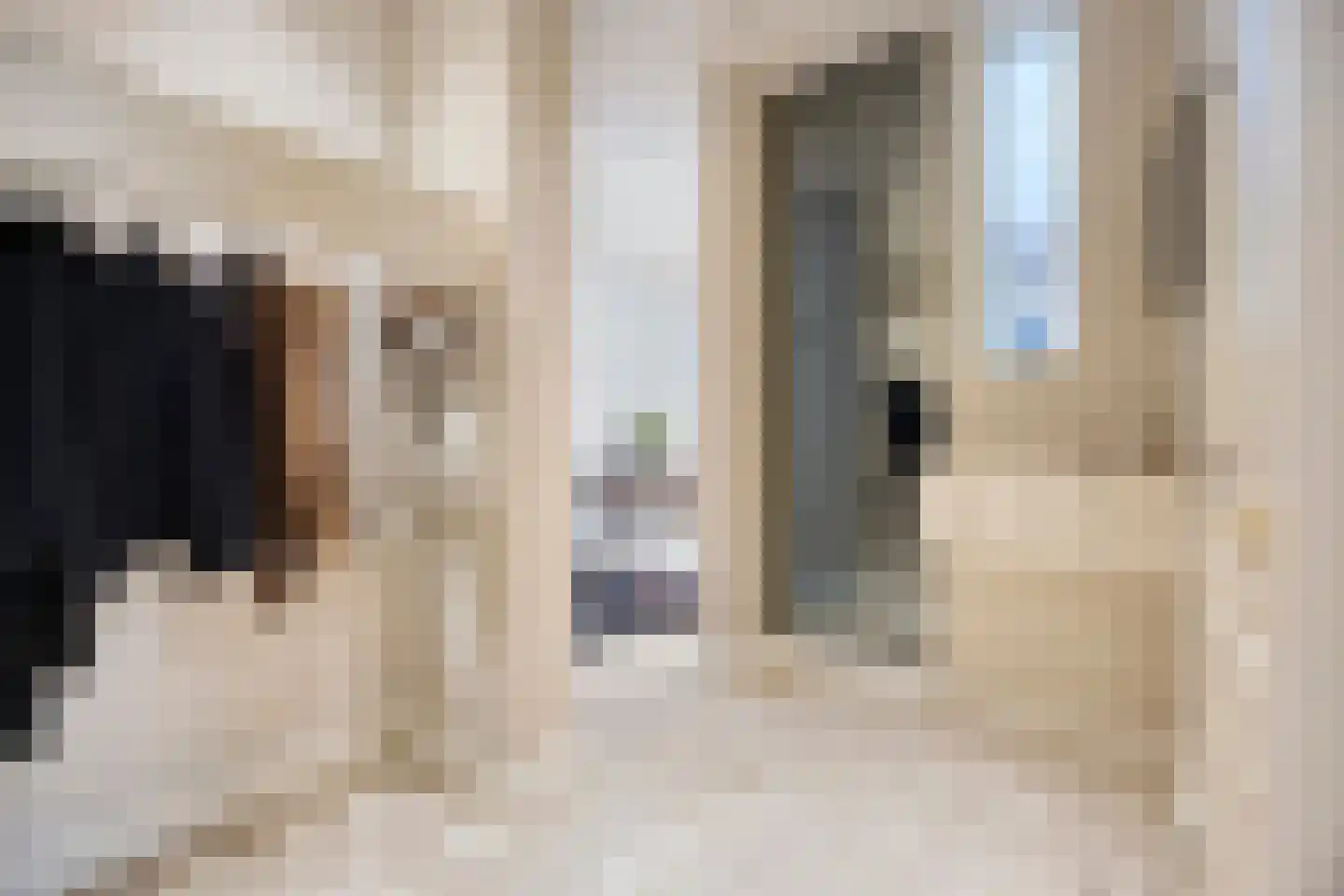 Bremdreef 4 Bergeijk thumbnail 35